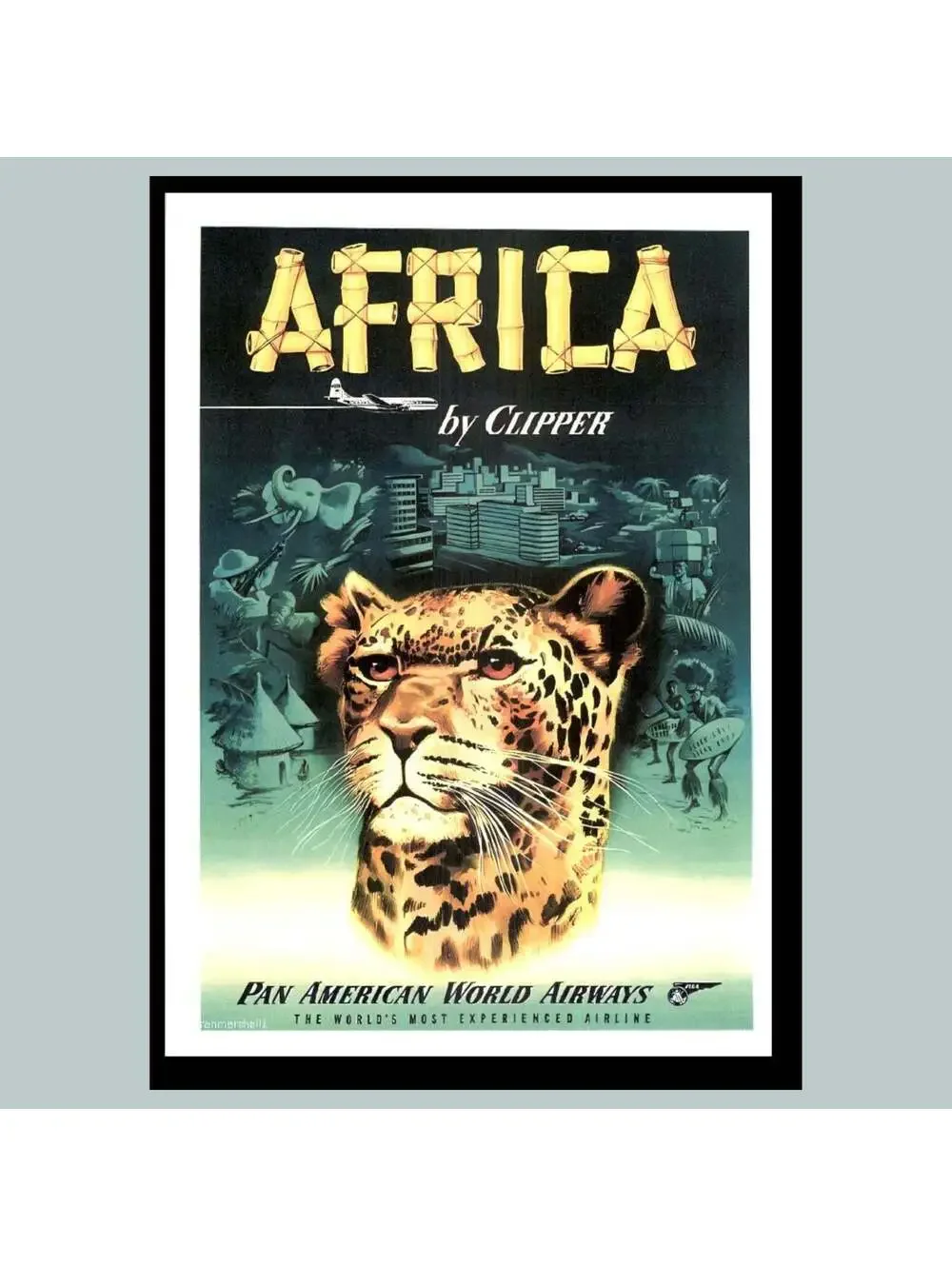 0002 8x10 Glossy Photo Africa Pan American